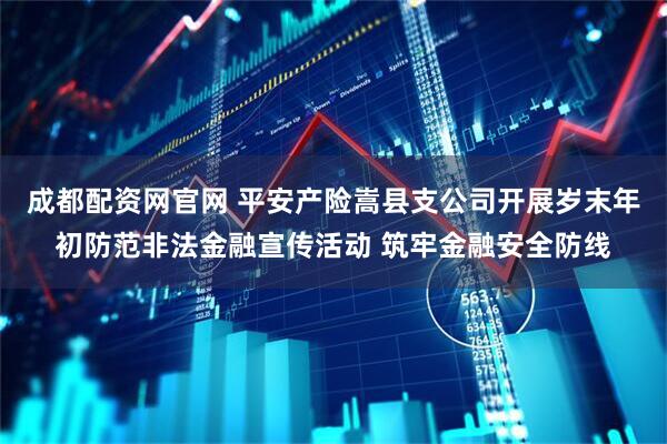 成都配资网官网 平安产险嵩县支公司开展岁末年初防范非法金融宣传活动 筑牢金融安全防线